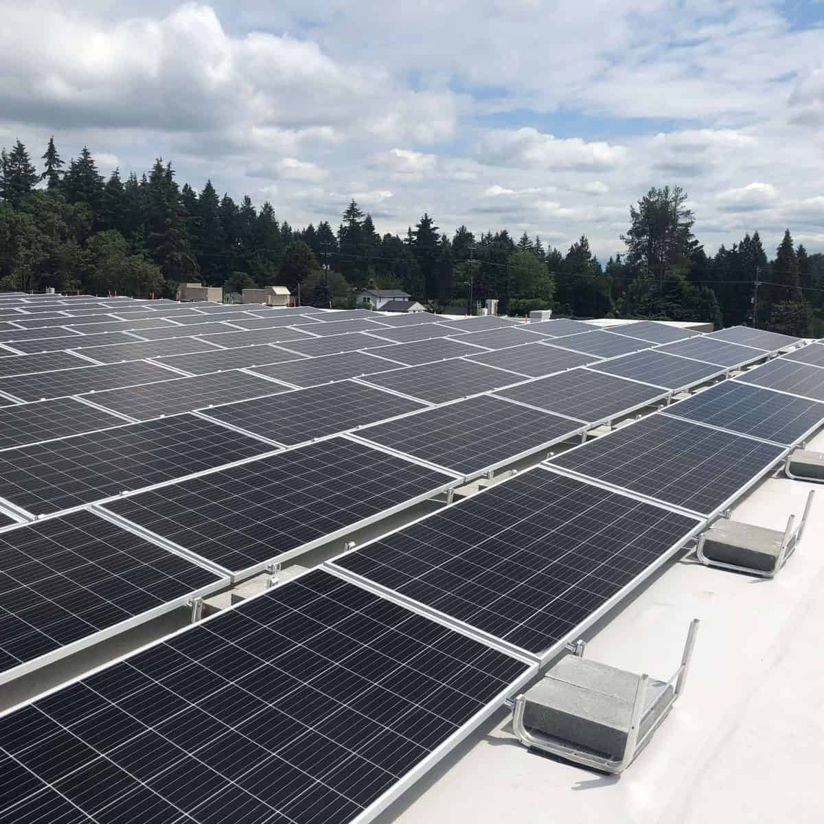 solar panels in commercial setting